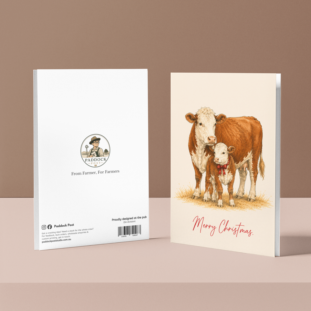 Herefords
